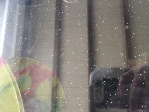 KITTEN GEZOCHT liefst Limburg of Regio Diest- averbode