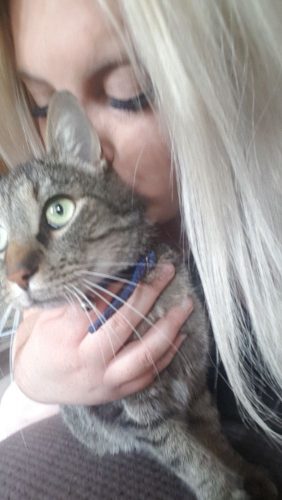 Wij zoeken een speelkameraadje ( liefst ros )