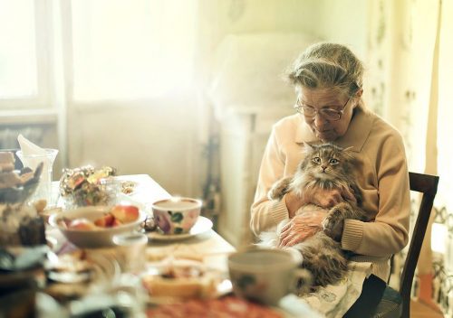 Gaia testament kittens