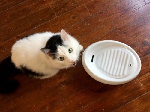 dreamcatchers drinkfontein