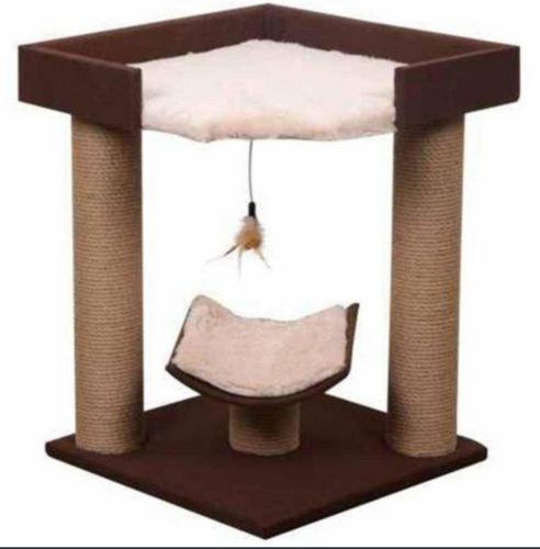 Ik ben op zoek naar een bruin katje