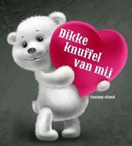 Lief speels kittentje gezocht