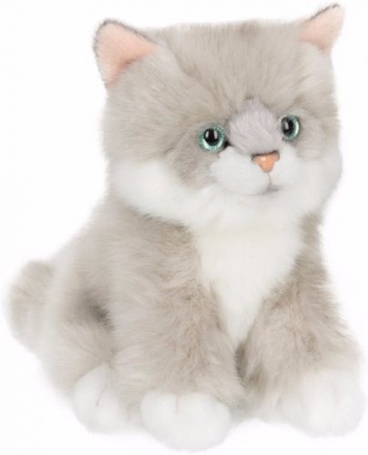 Lief klein lieverdje gezocht