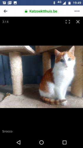 Een cutie die graag knuffelt