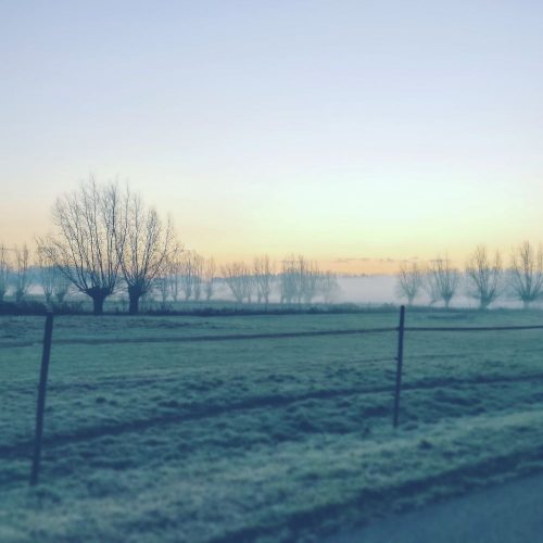 Langharige Kitten gezocht