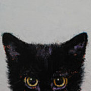 black-kitten-michael-creese
