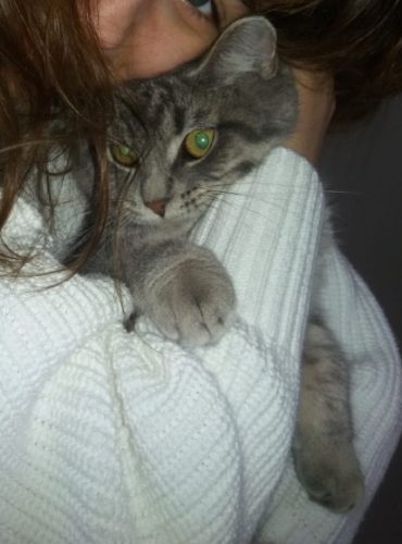 Maakt niet uit hoe het kittentje eruit ziet. Ik zal het met hart en ziel graag zien.