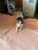 WhatsApp Image 2019-06-05 at 12.25.44