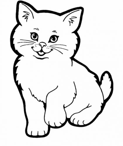 Kitten gezocht om warme thuis te geven!