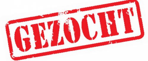 Op zoek naar twee kittens