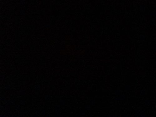 Regio antwerpen klein kitten.