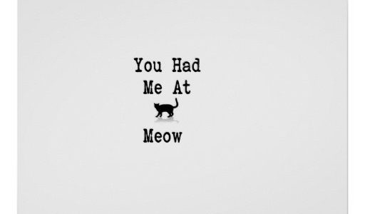 you_had_me_at_meow_poster-r97b780e119b84231bb0541728e370efc_ojjy_8byvr_512