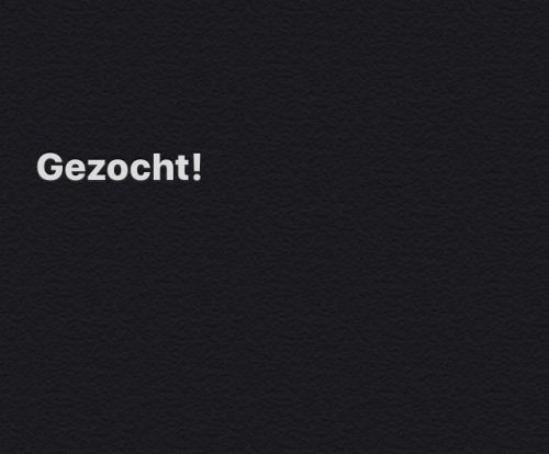 Gezocht naar een kittenmaatje