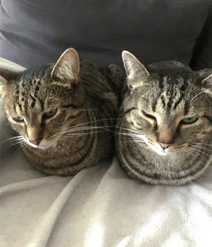 Lio en Luigi / twee broers