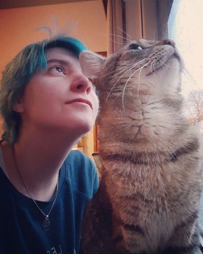 Kitten gezocht te Limburg, België