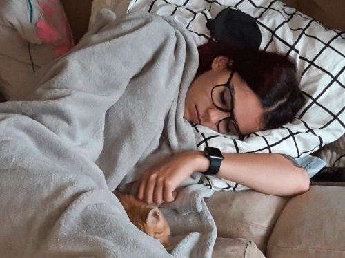 Kitten gezicht