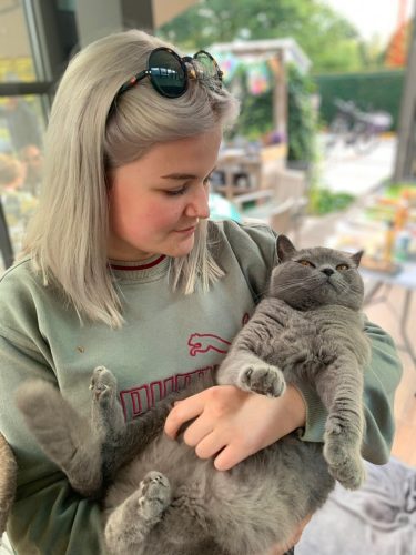 Op zoek naar een kitten