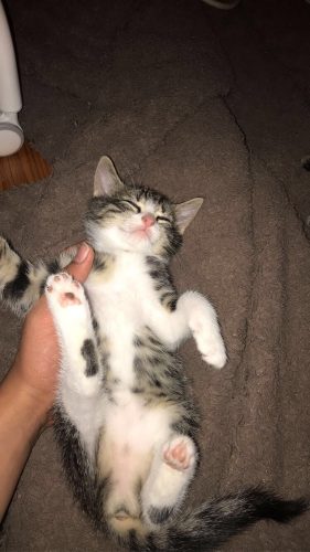 Schatig en heel lief