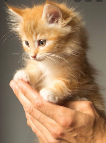 Leuke vriend gezocht