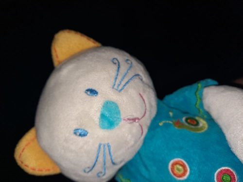 Kitten gezocht