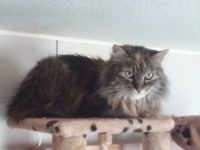 Zoek terug een vriend