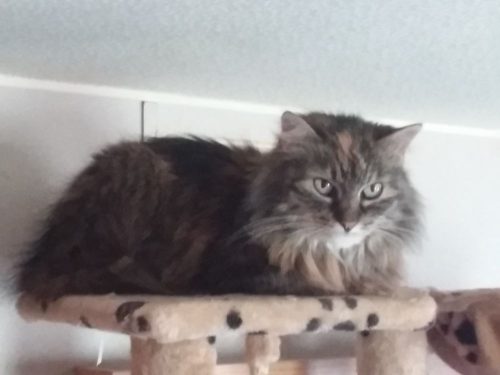 Zoek terug een vriend