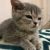 image-24-12-2021_17-03-23-25