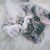 GrijsWitteKittenHP_PCC_lg_cat_play_hero
