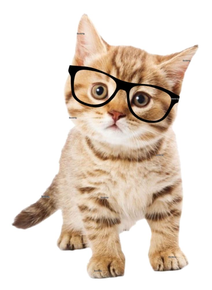 poes