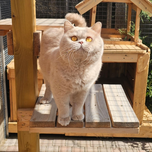 Wilson looking for a new home